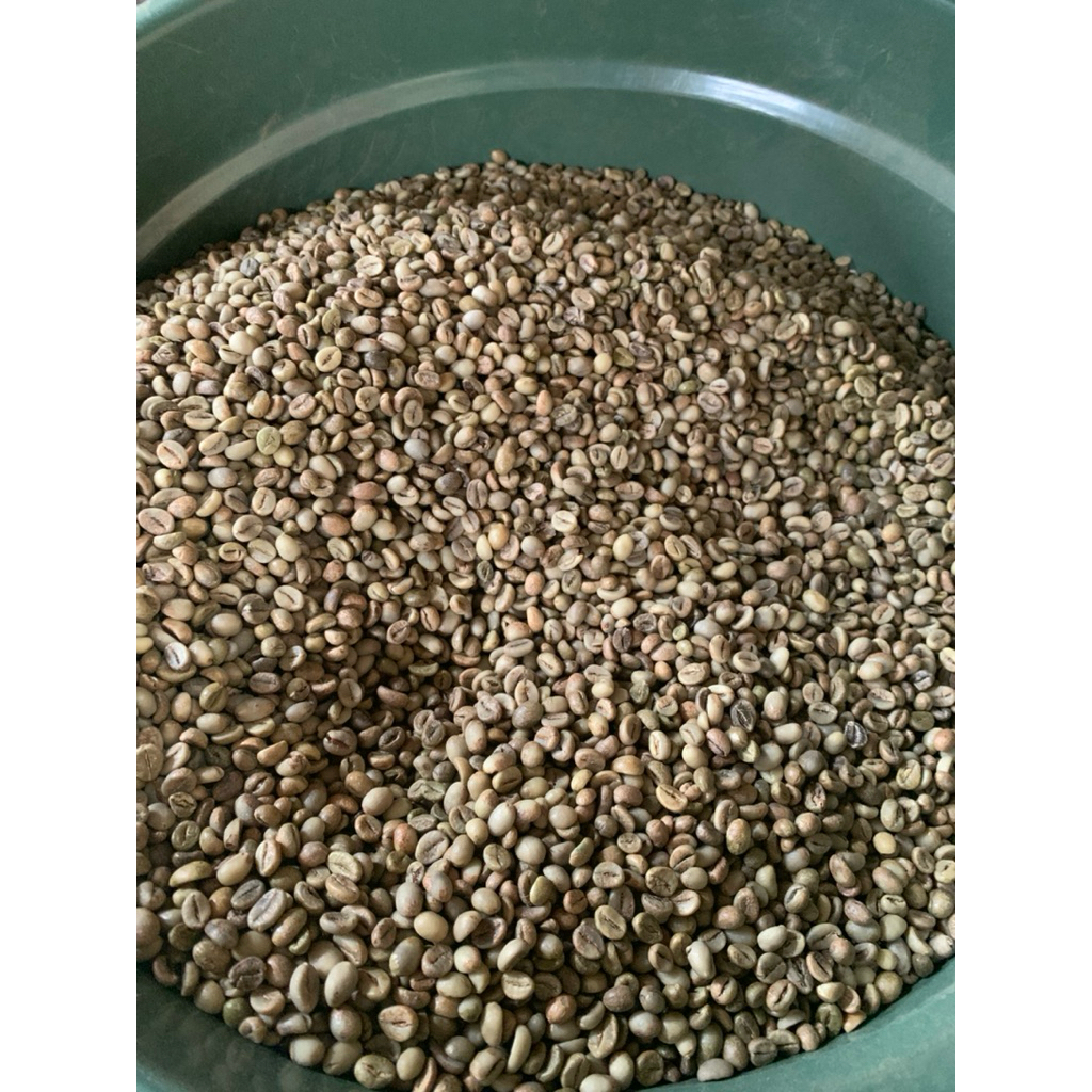 green bean robusta temanggung g1