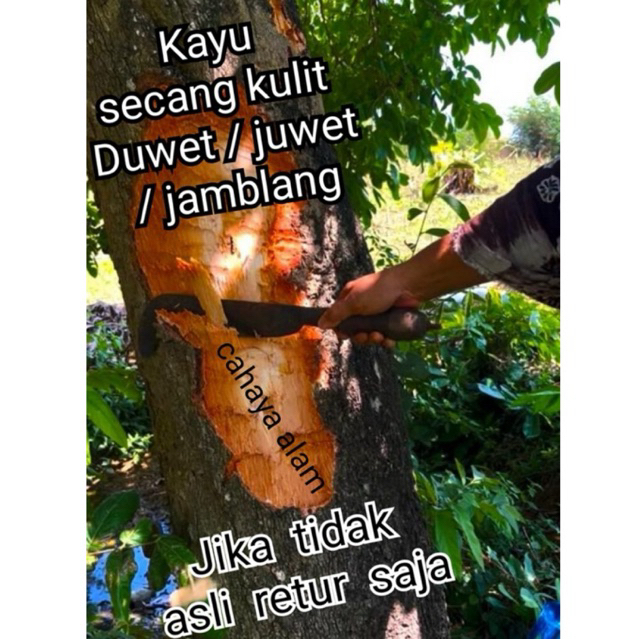 kayu Secang kulit jamblang Duwet juwet 500 grm tidak ori retur saja beres