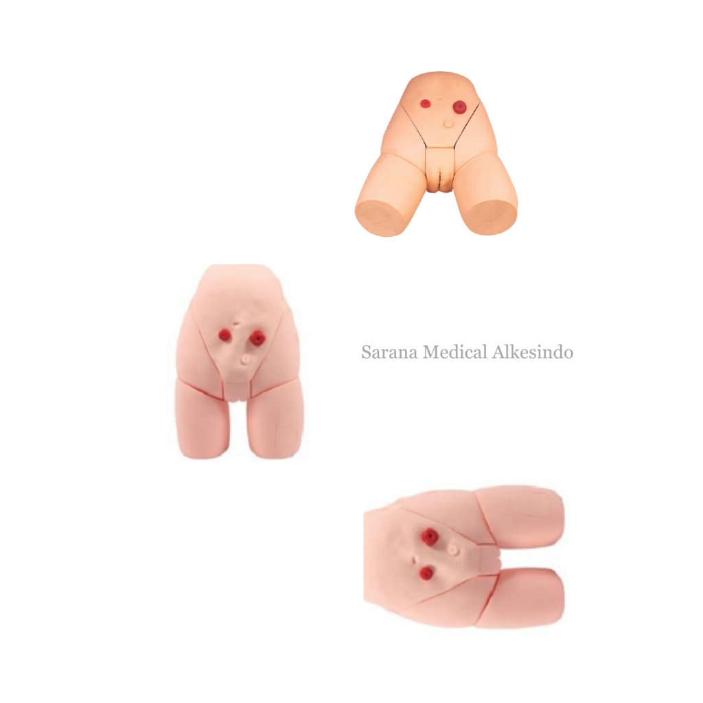 Manekin/Manikin/Alat Peraga/Phantom/Manekin Model Kateterisasi Wanita Realistis – Latihan Kateterisa