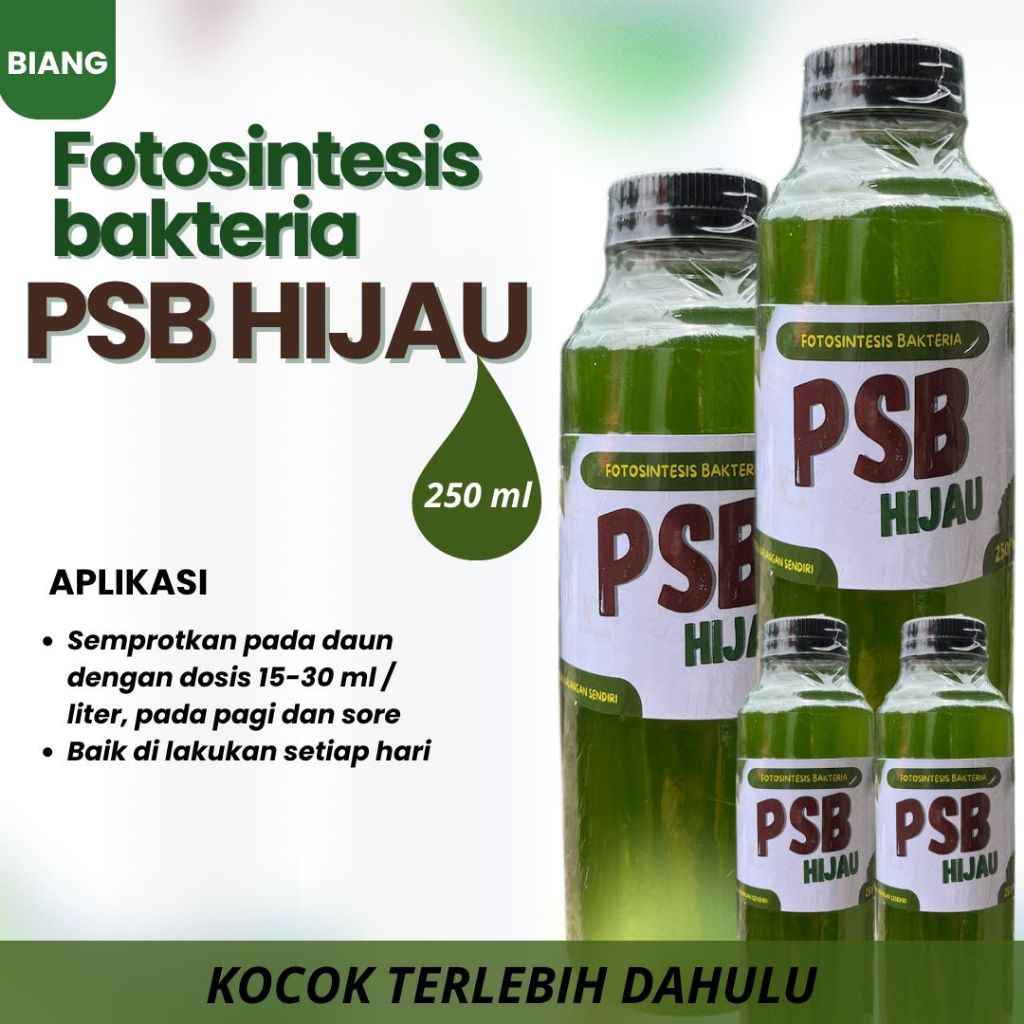 Biang bibit organik PSB hijau ( fotosintesis bakteri)