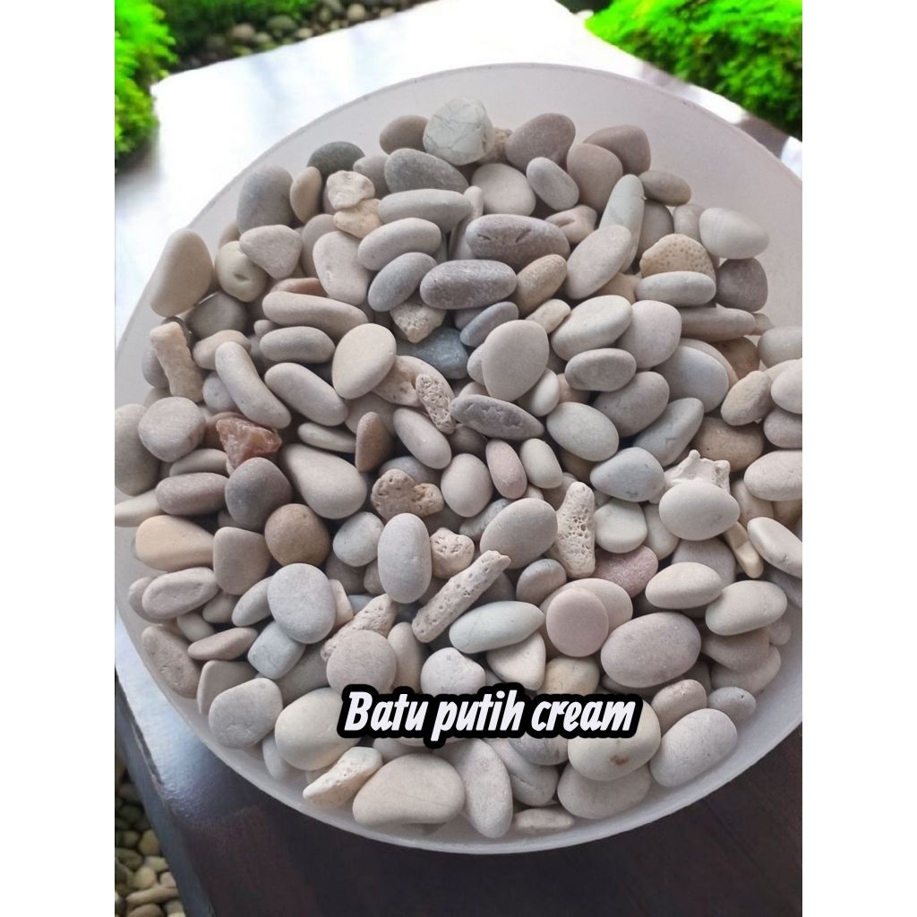 1kg batu alam warna cream/batu putih cream/batu koral putih/batu alam/Batu taman/Batu aquarium/