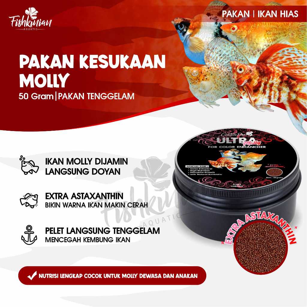 Fishkinian | Ultra Molly Pakan Ikan Hias Premium - Molly Guppy Udang Hias