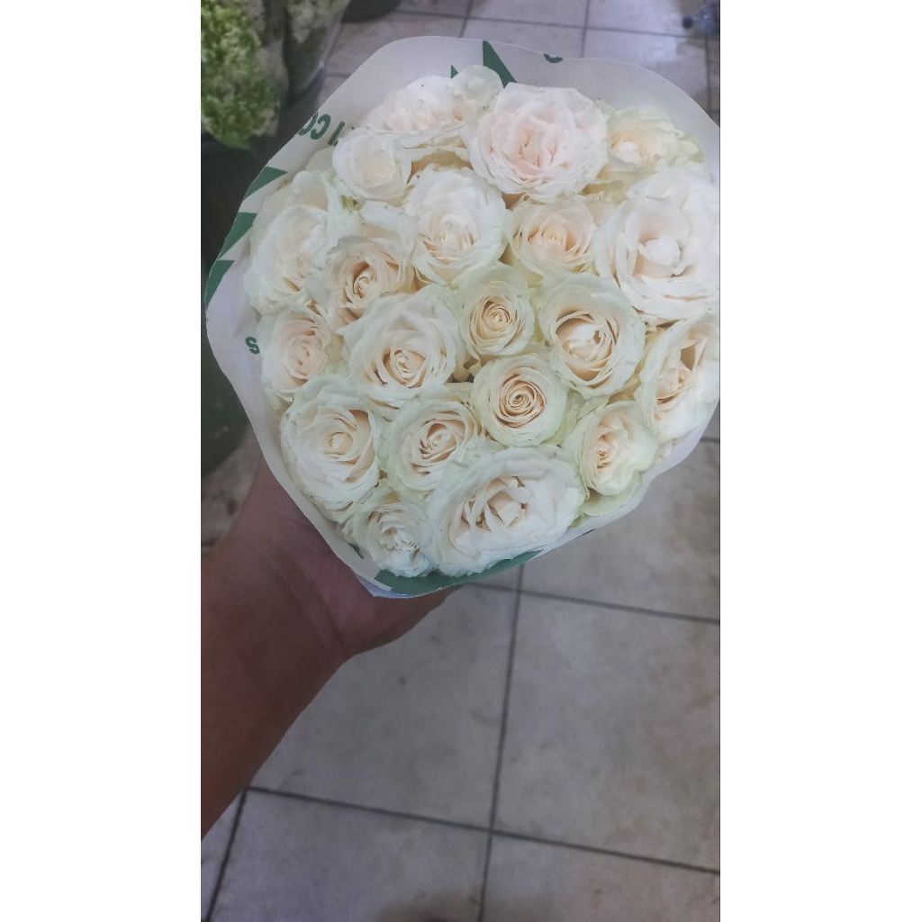 bunga mawar putih fresh 20 tangkai