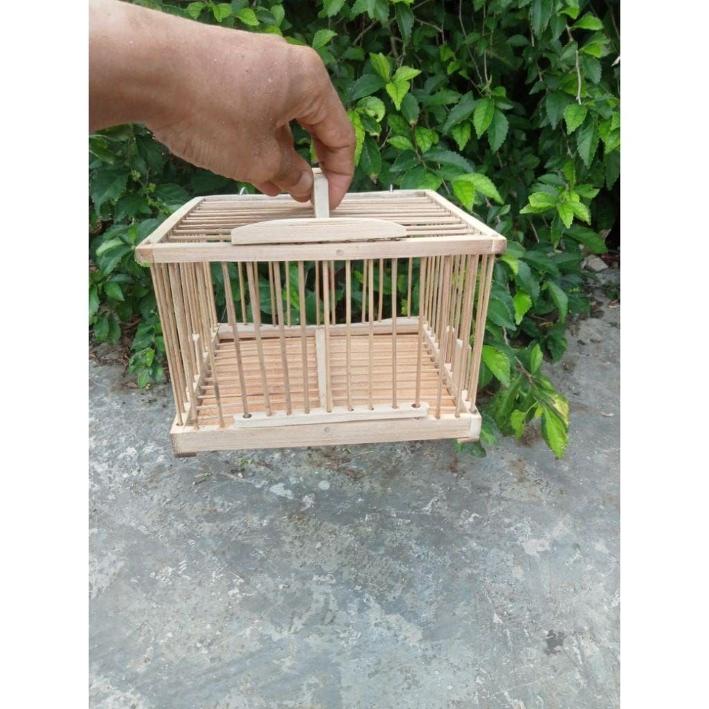 sangkar untul pleci sogon dll