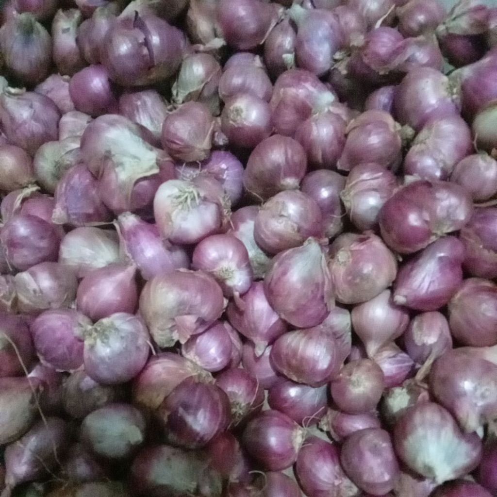 Bawang Merah Brebes Super