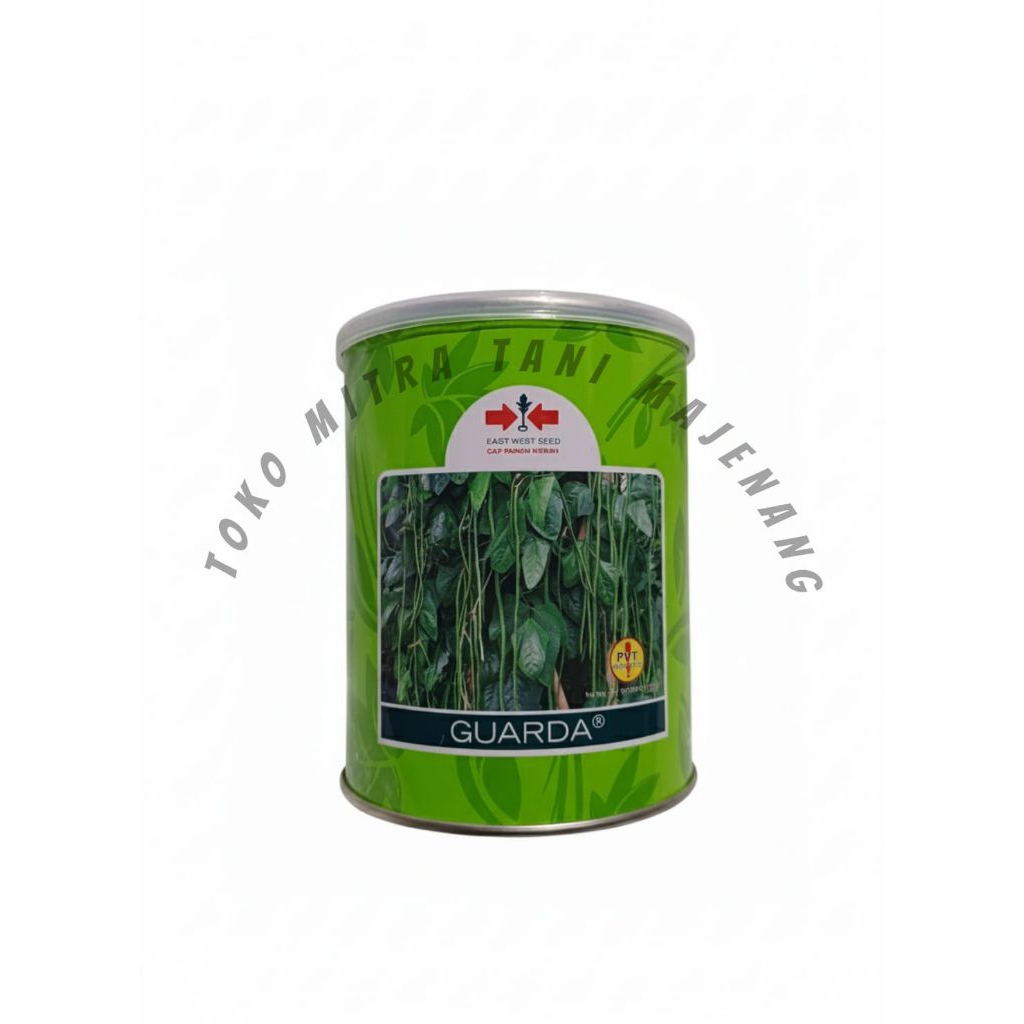 GUARDA KACANG PANJANG CAP PANAH MERAH