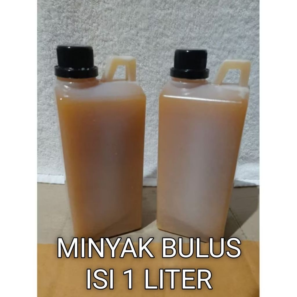 minyak bulus asli Kalimantan 1 liter