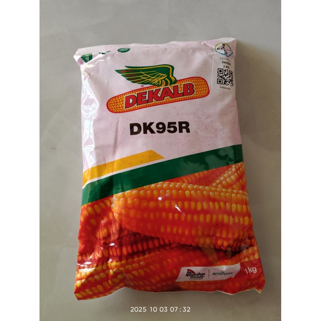 BENIH JAGUNG DEKALB DK95R 1 KG