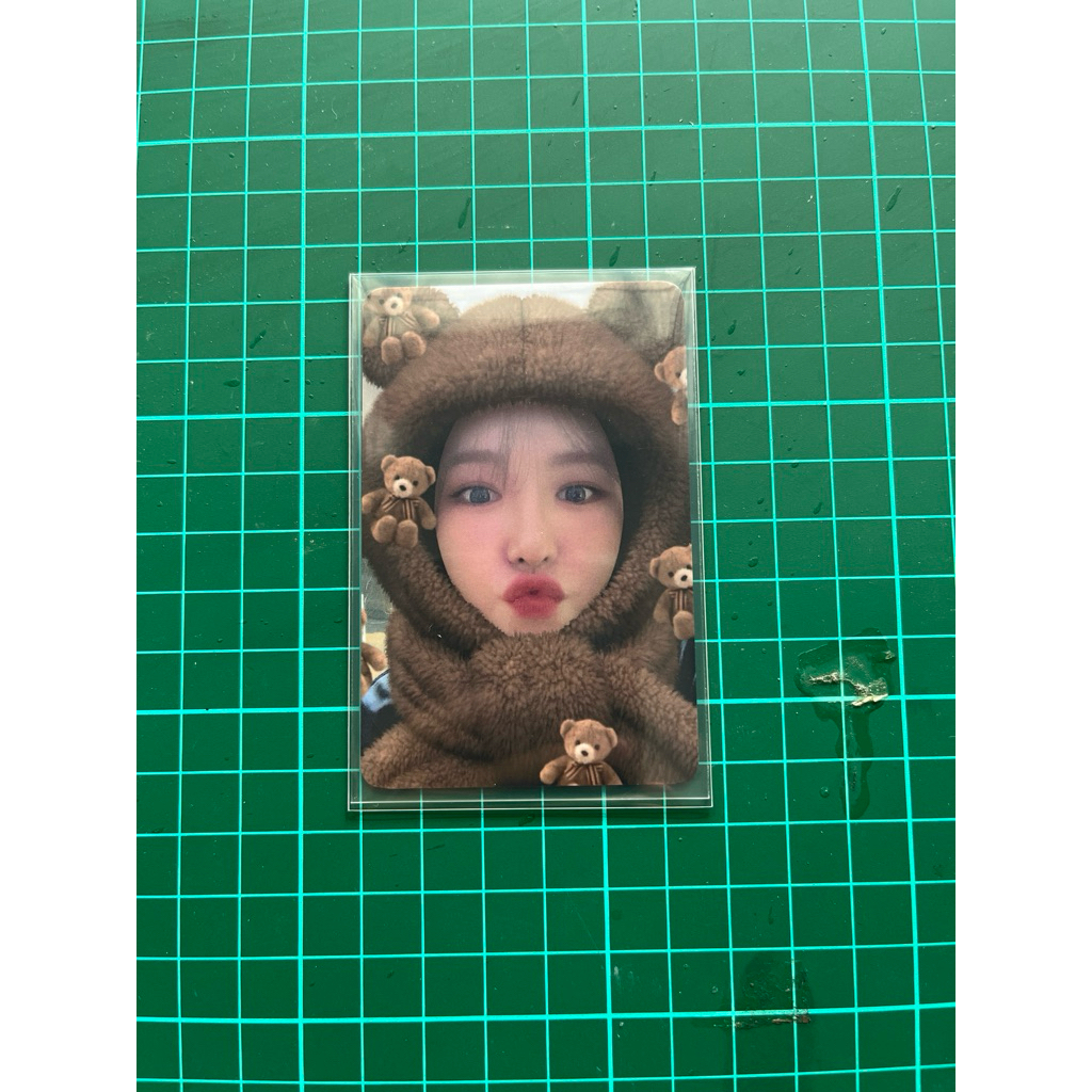 Wendy Photocard Month February