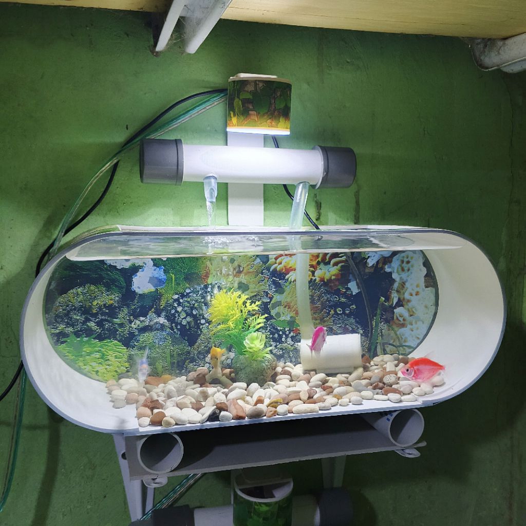 Aquarium Paralon PVC Lengkap Mesin Filter Air Mancur Dan Lampu Listrik 3 Wat