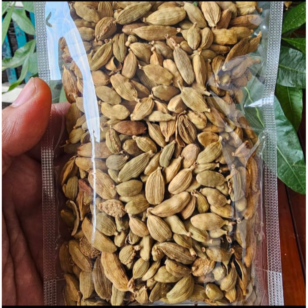 Bumbu Kapulaga Arab 100gr Kapulaga Hijau Biji Kapulaga India