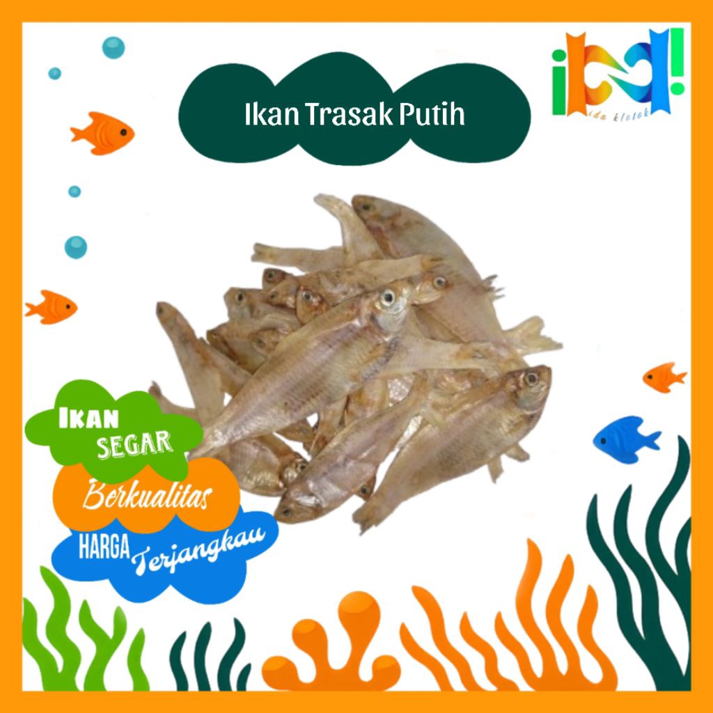 IDA KLOTOK - IKAN TRASAK PUTIH ASIN / IKAN ASIN KALAPAN / IKAN ASIN BILIS / TRASAK MALAM PREMIUM [20
