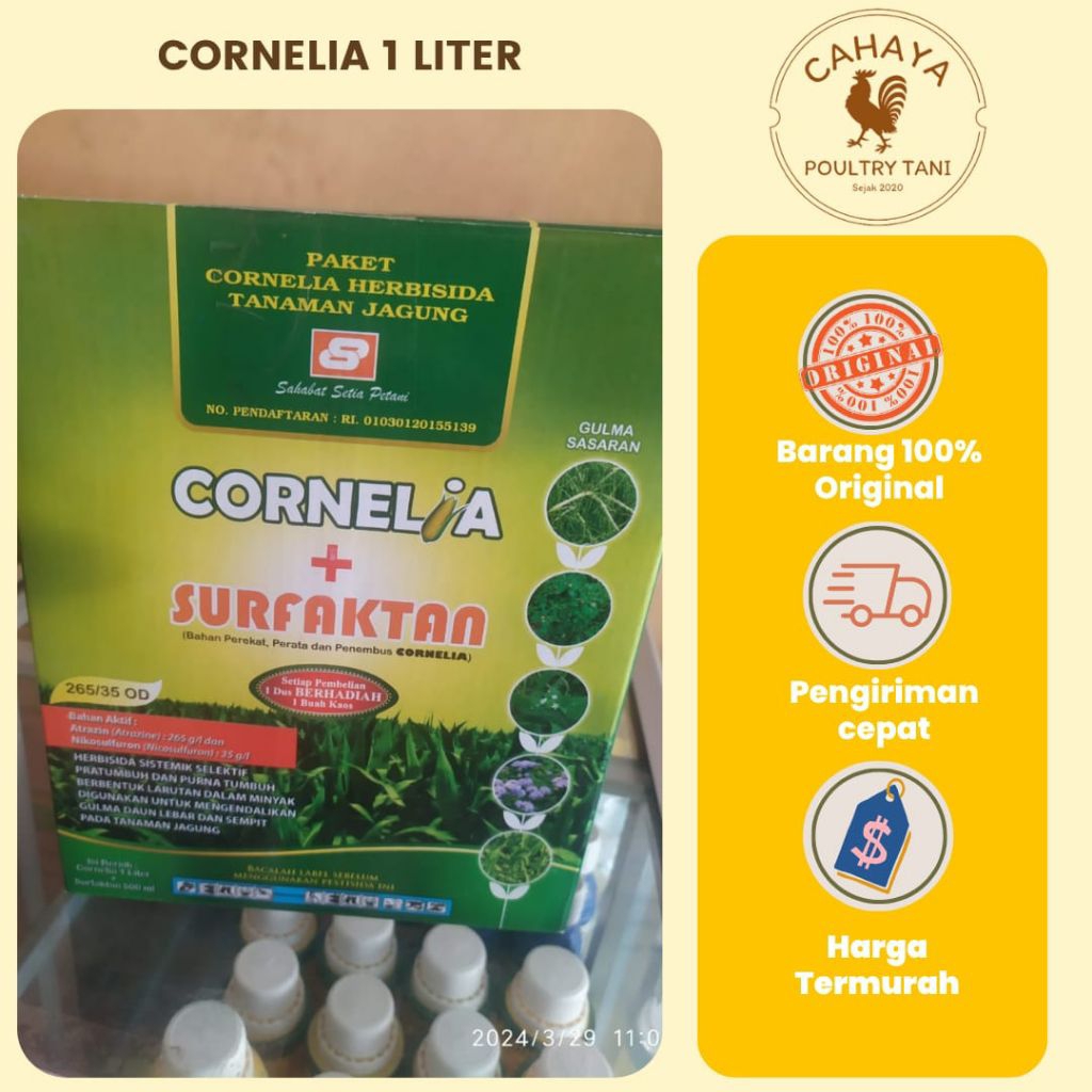 CORNELIA 265/35 OD 1 LITER, Herbisida Selektif Jagung
