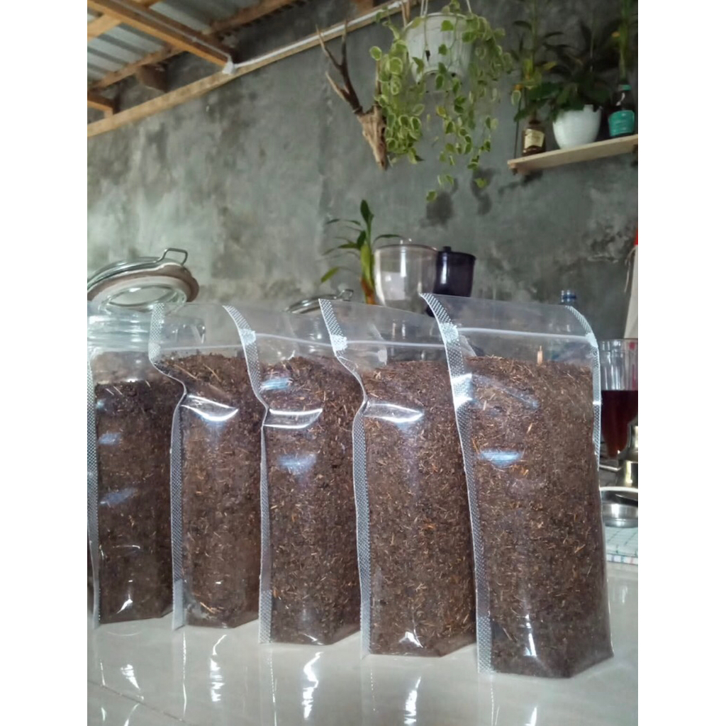 Teh Merah/Teh Hitam Batang Jawa Tengah