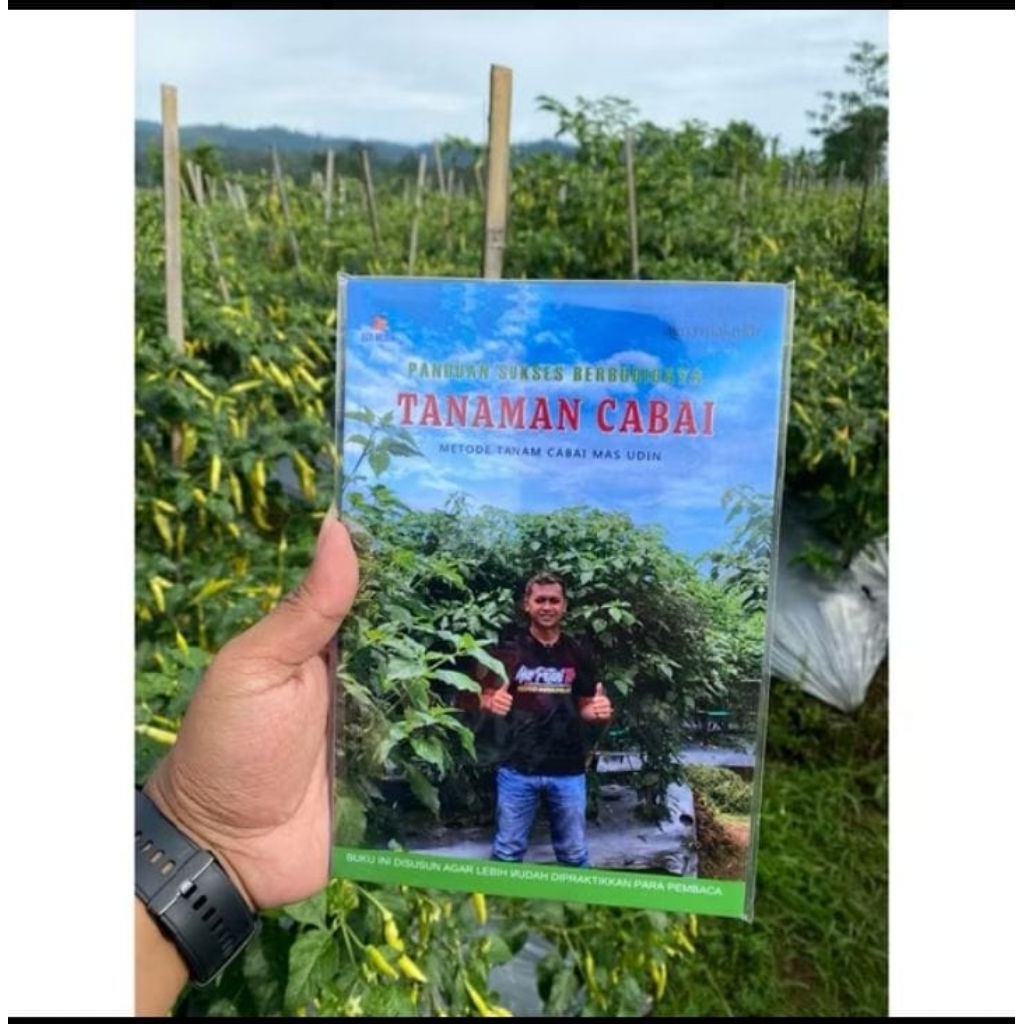Panduan Sukses Berbudidaya Tanaman Cabai Metode Tanam Cabai Mas Udin