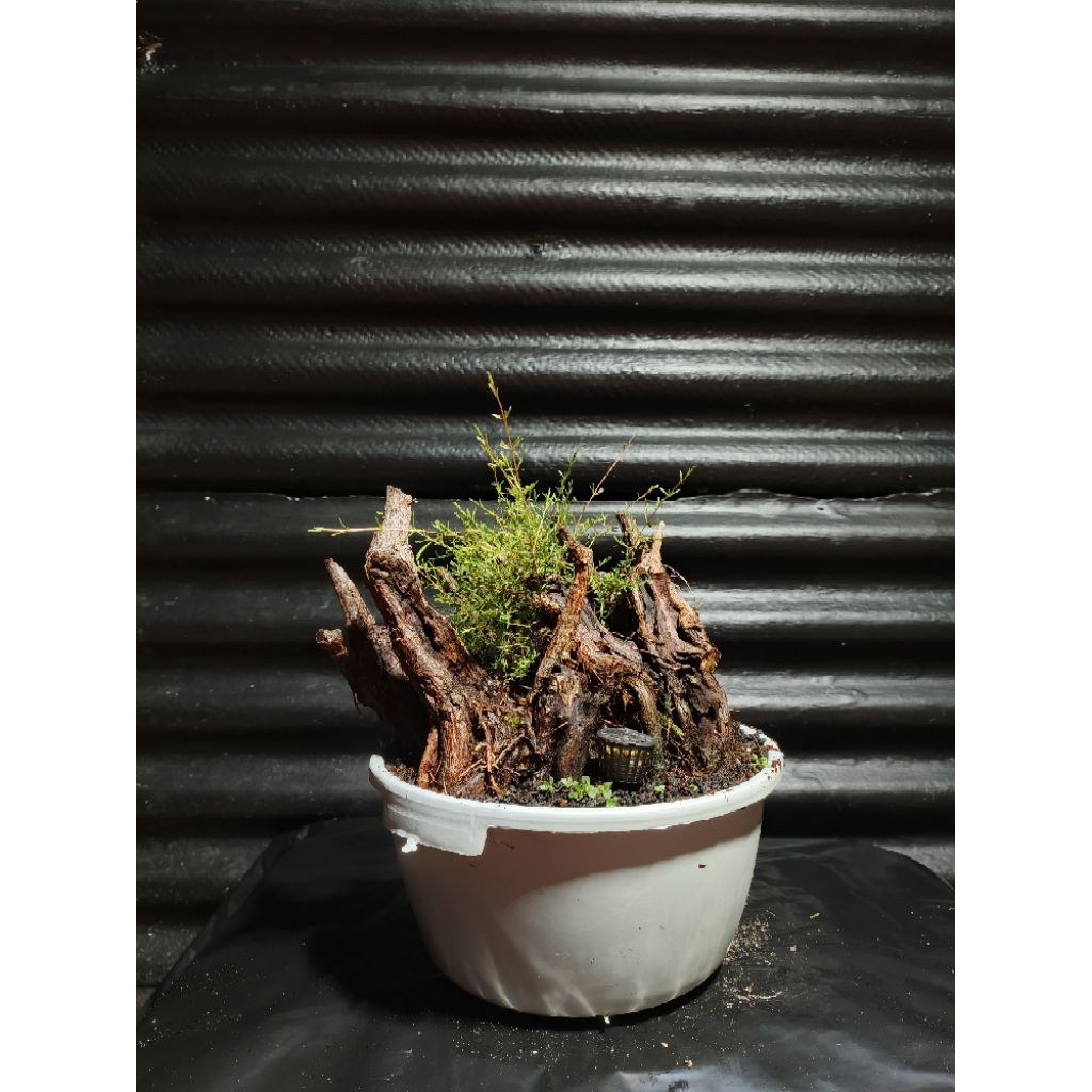 cucur atap bogel kesan tua