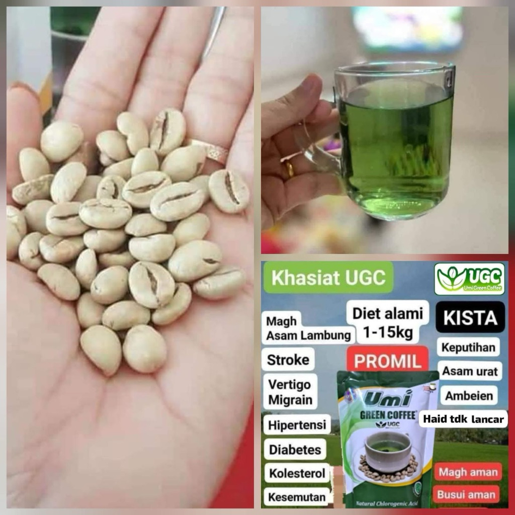UGC KOPI HIJAU PEMBAKAR LEMAK - UGC UMI GREEN COFFEE