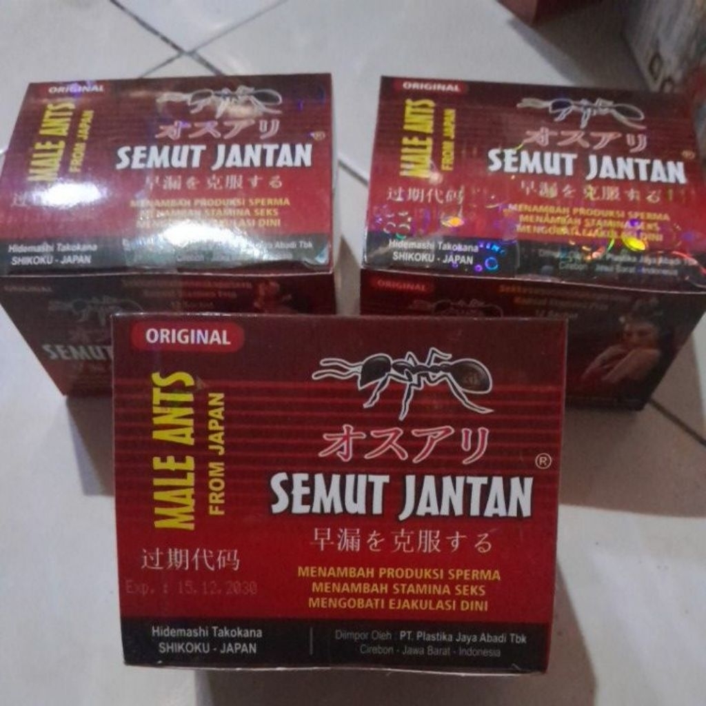 SEMUT JANTAN ORIGINAL