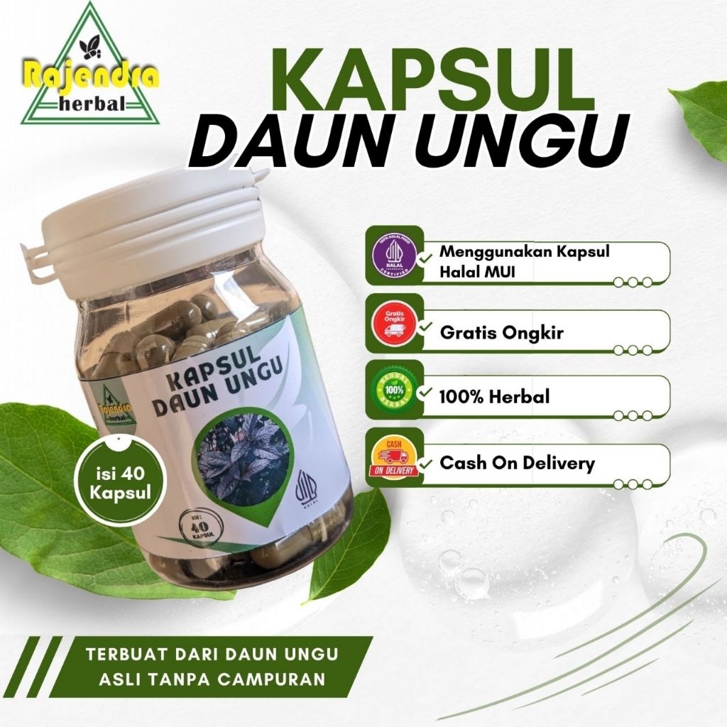 KAPSUL DAUN UNGU