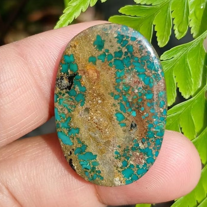 pirus ijo serat emas