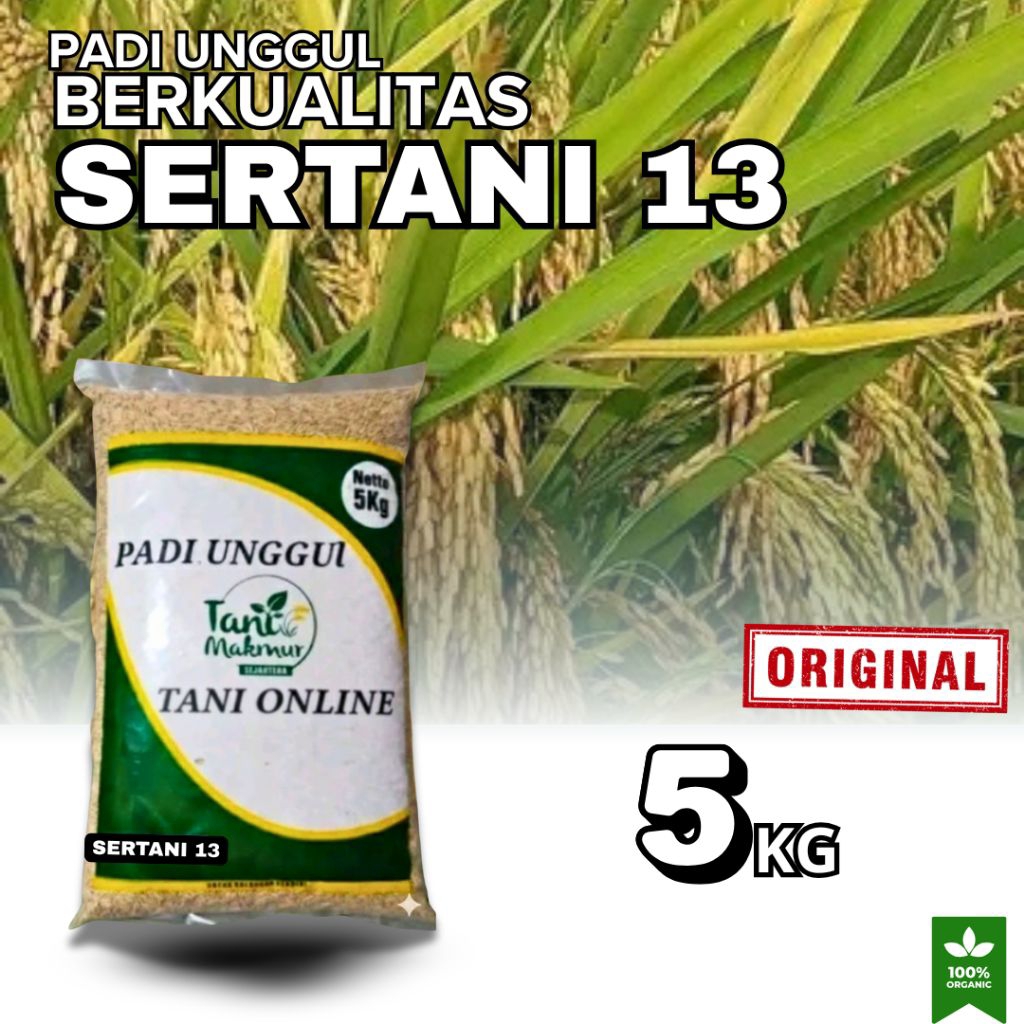 BENIH PADI SERTANI 13 KEMASAN 5KG
