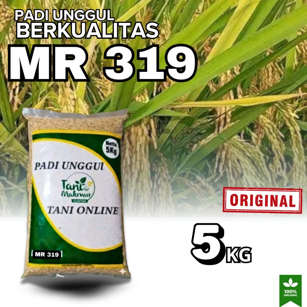 BENIH PADI MR 319 KEMASAN 5KG