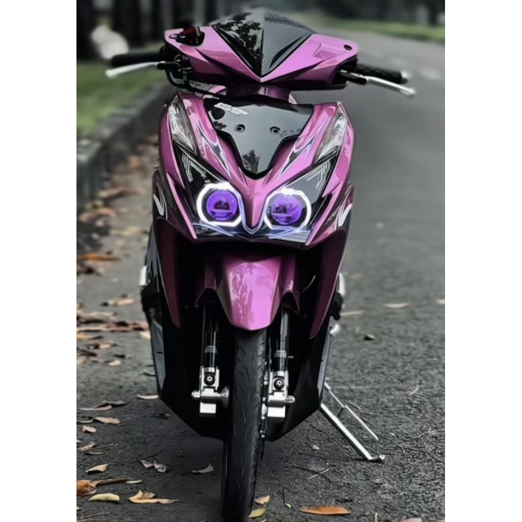 Cat Magenta Pink Rose