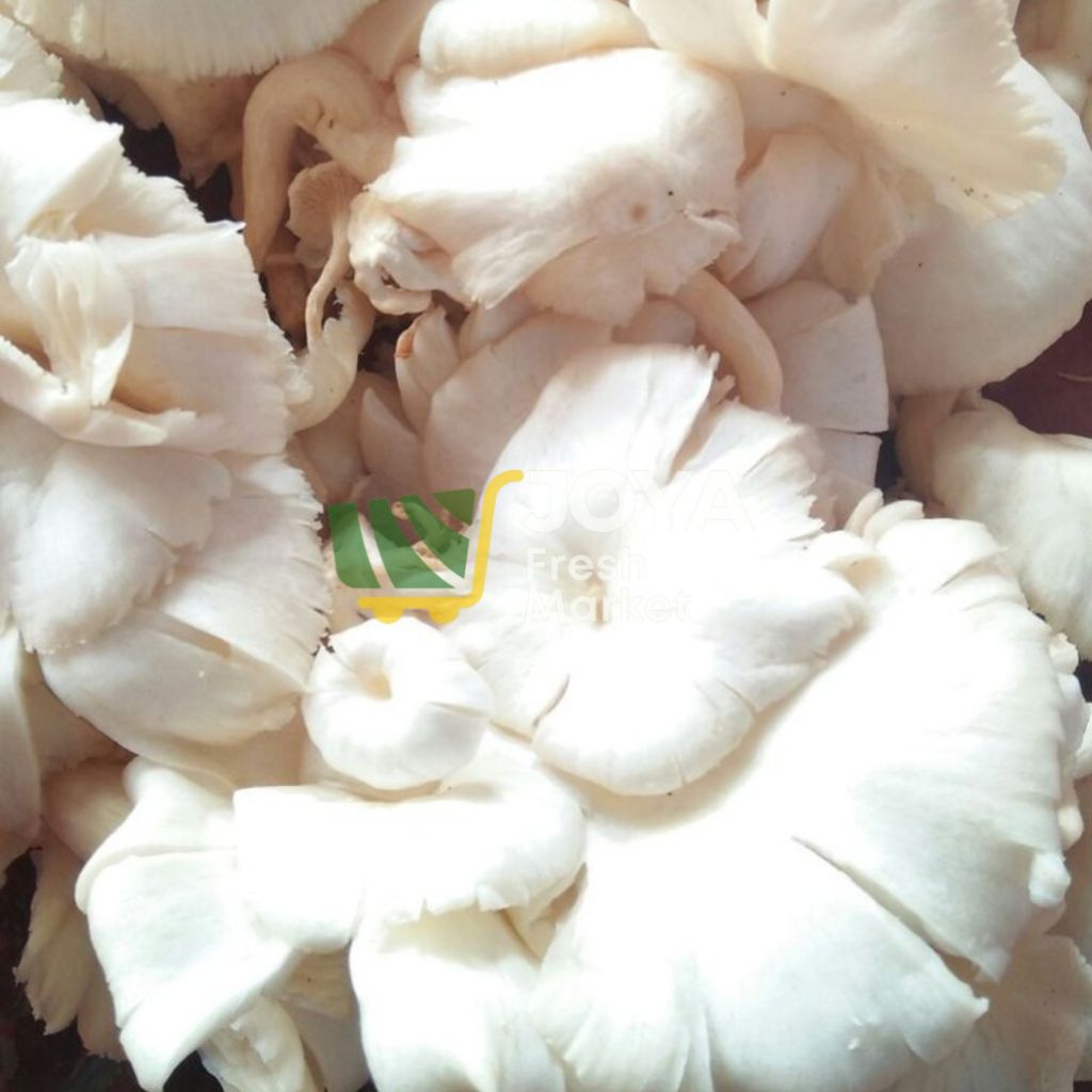 Joya Fresh - Jamur Tiram Segar/Jamur Tiram Fresh Kiloan