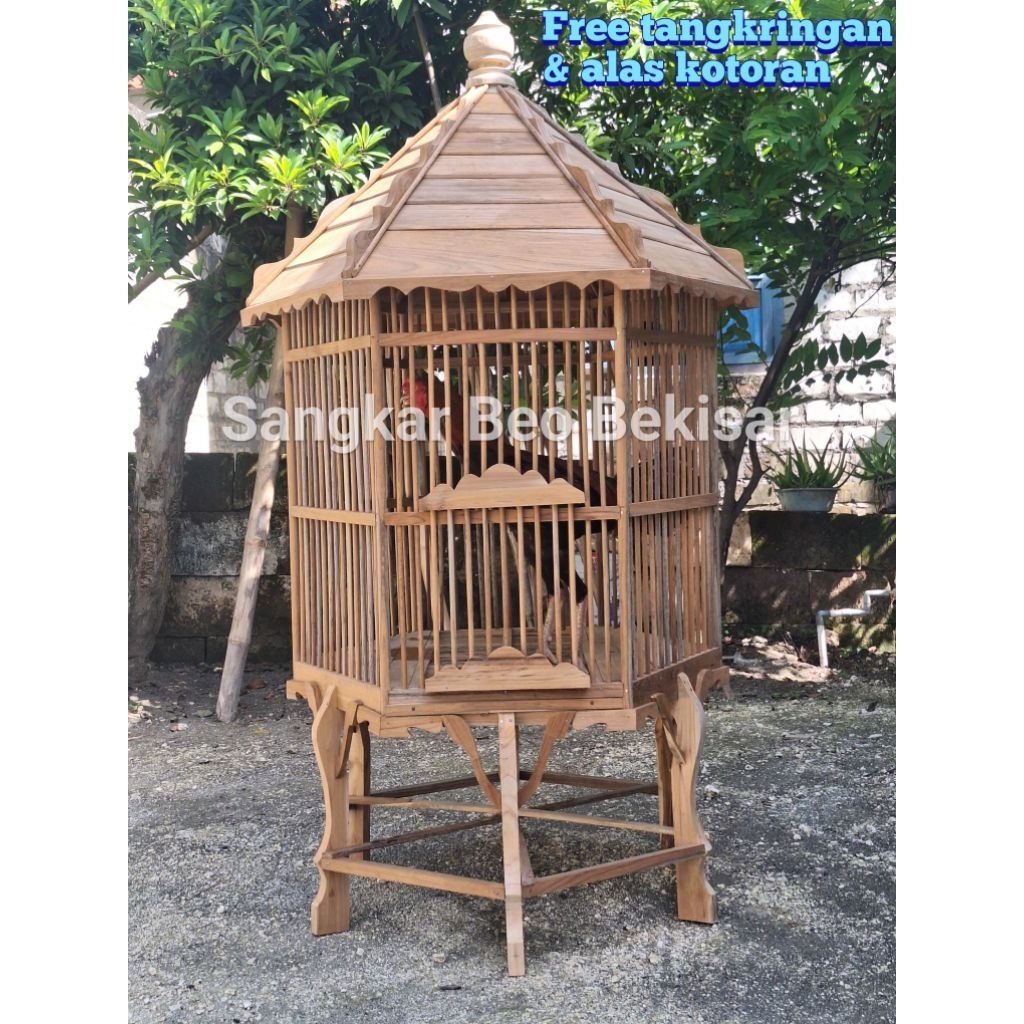 SANGKAR BEO AYAM BEKISAR AYAM PELUNG AYAM HUTAN AYAM KATE AYAM KETAWA AYAM BANGKOK BURUNG JAL4K POKS