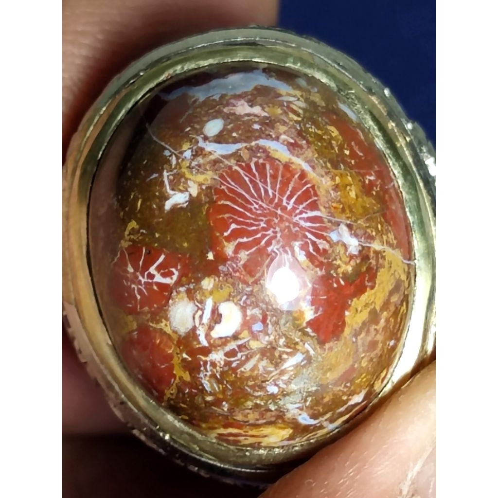 Natural Palm Petrified Wood, RED FLOWER / Batu Fosil Kayu Palem, BUNGA MERAH 1