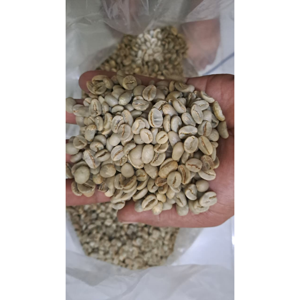 KOPI GAYO ACEH NATURAL  ACEH ARABICA GREEN BEANS 1 KG