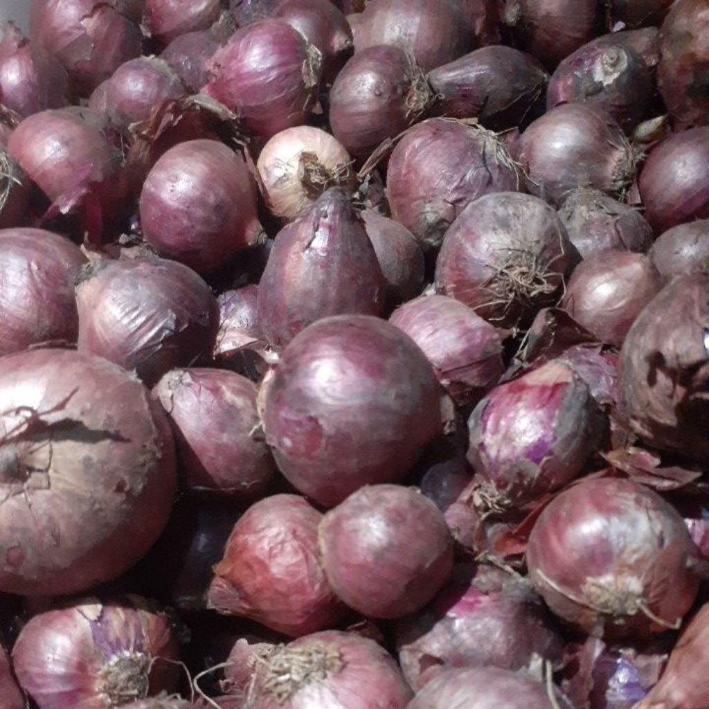 Bawang Merah India 1kg