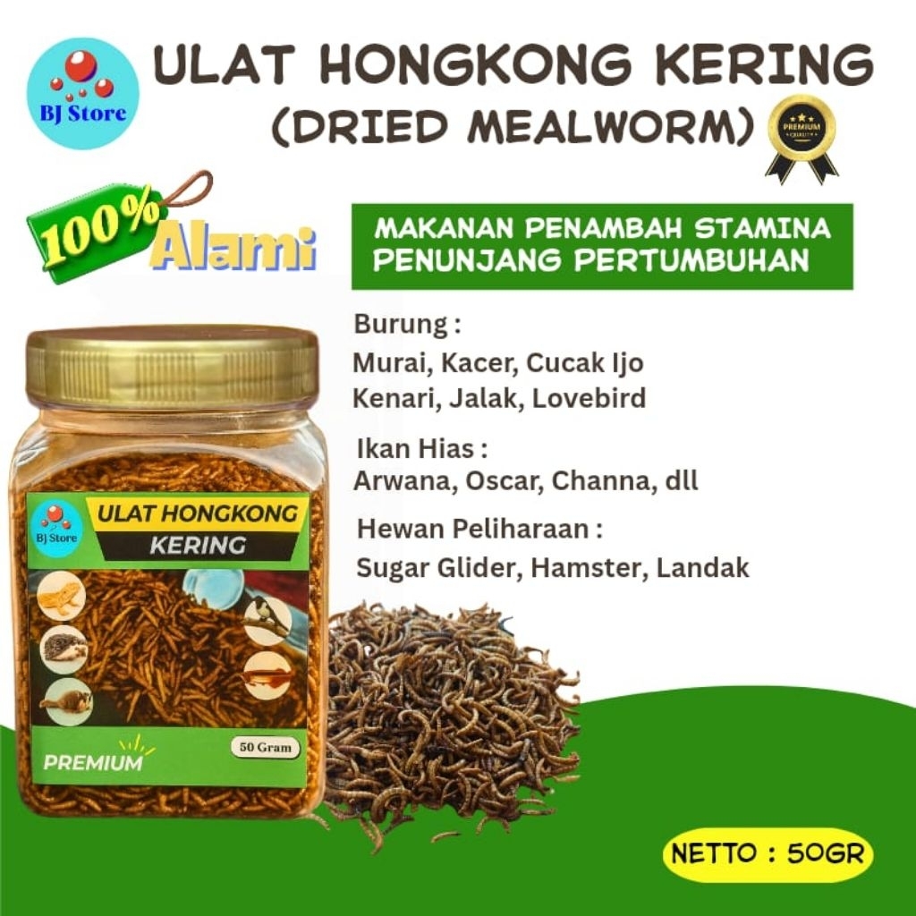 ULAT HONGKONG KERING 50gr, SNACK SUGAR GLIDER HAMSTER IKAN ARWANA, CHANA, PAKAN BURUNG
