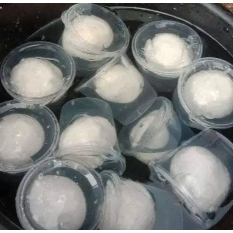 Pulut Getah Pikat Jerat Burung