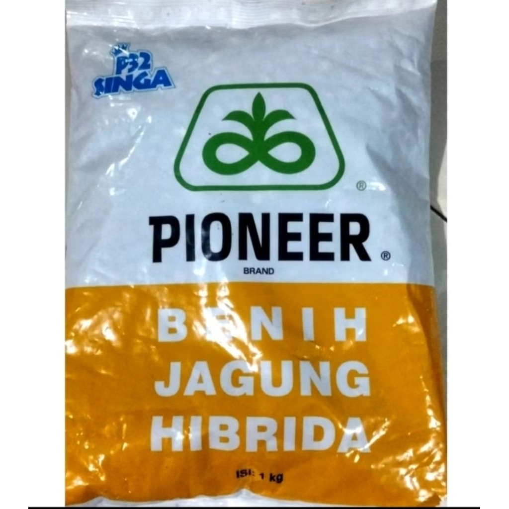 Benih Jagung Hibrida P32 Singa