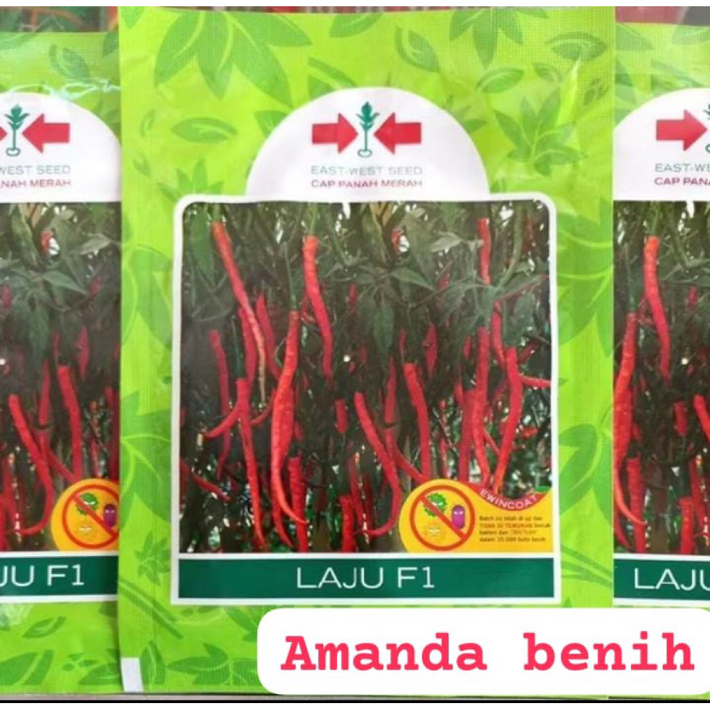 benih cabe LAJU F1