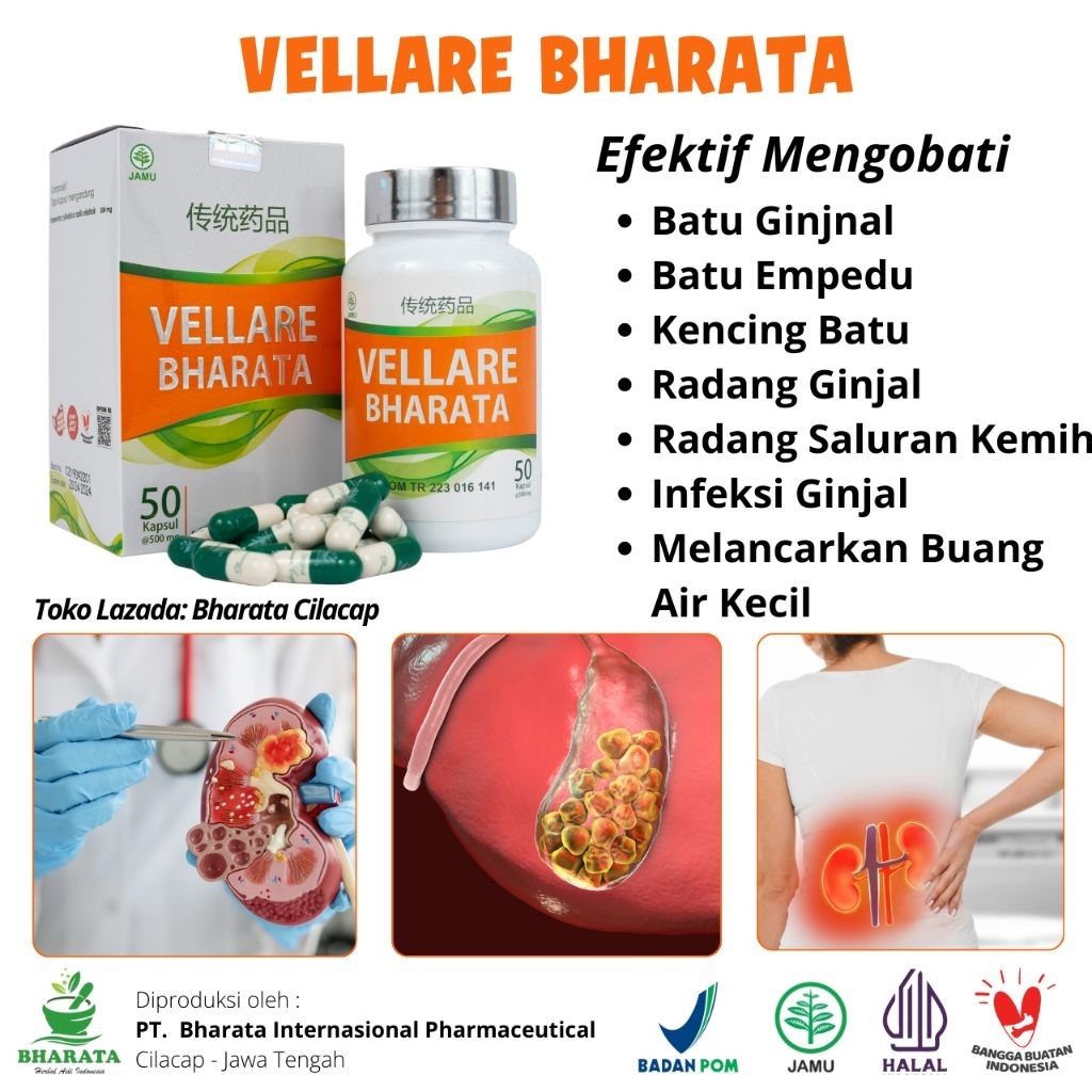 Obat Batu Ginjal, Obat Batu Empedu, Obat Kencing Batu, Vellare Bharata  100% Original Bharata