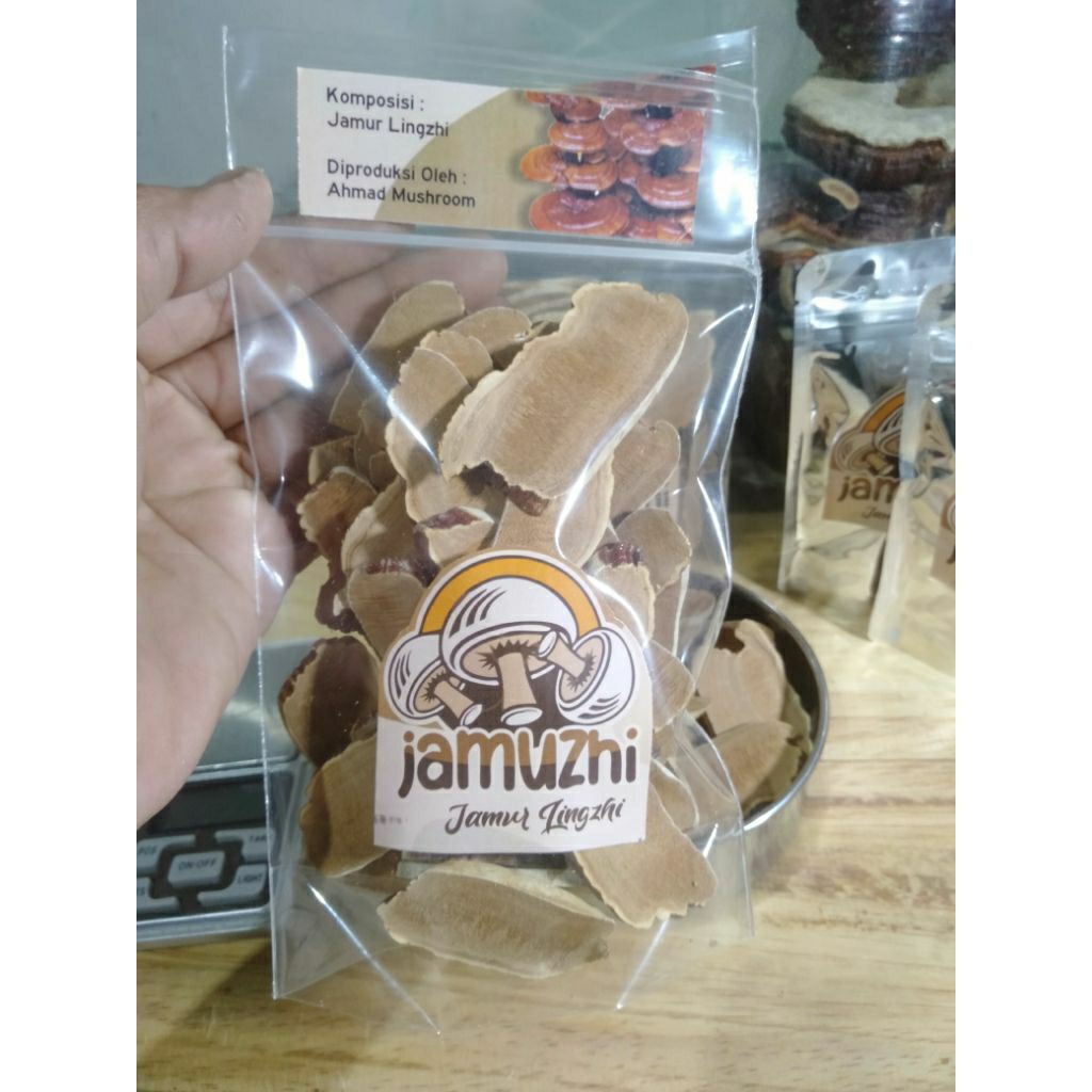 jamur Lingzhi kering, Lingzhi rajang, Ganoderma, teh Lingzhi