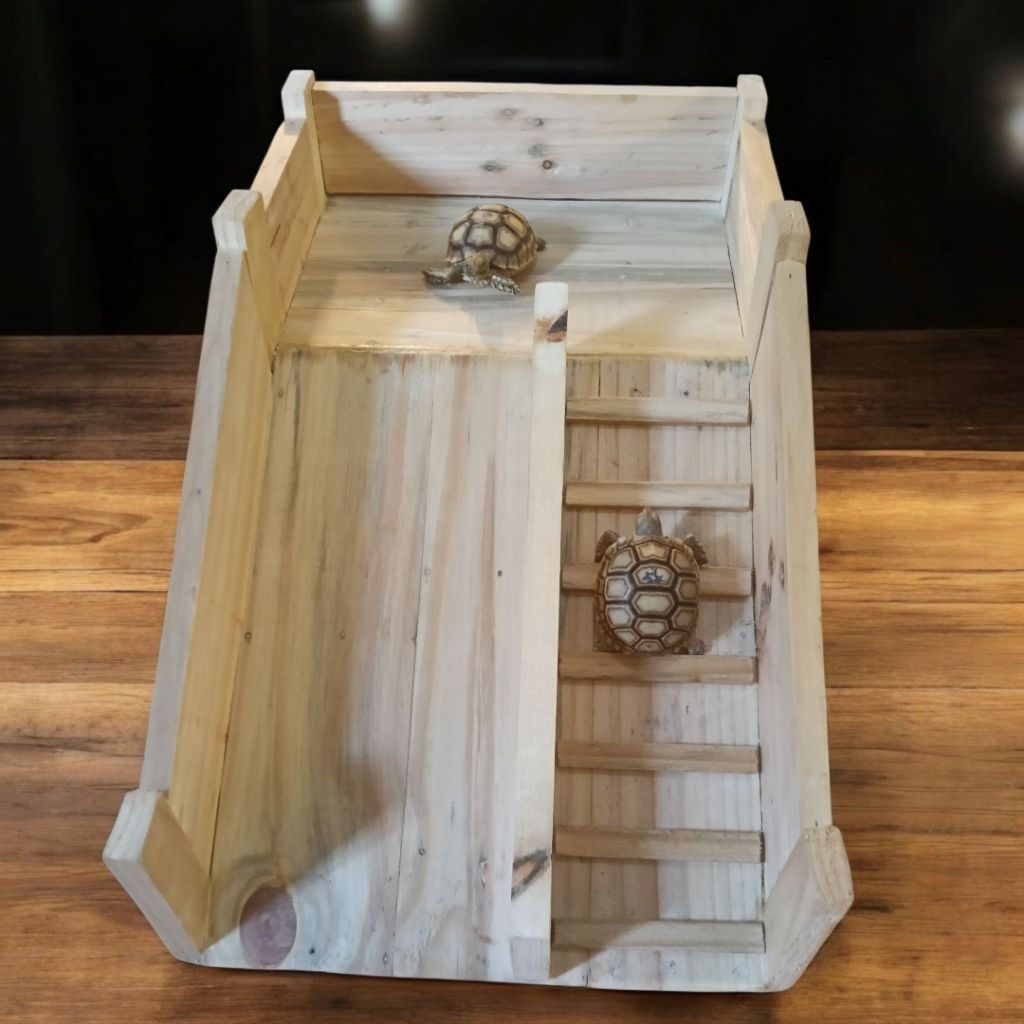 Aksesoaris Kandang Kura | Perosotan Kura Kura Sulcata Pardalis dll