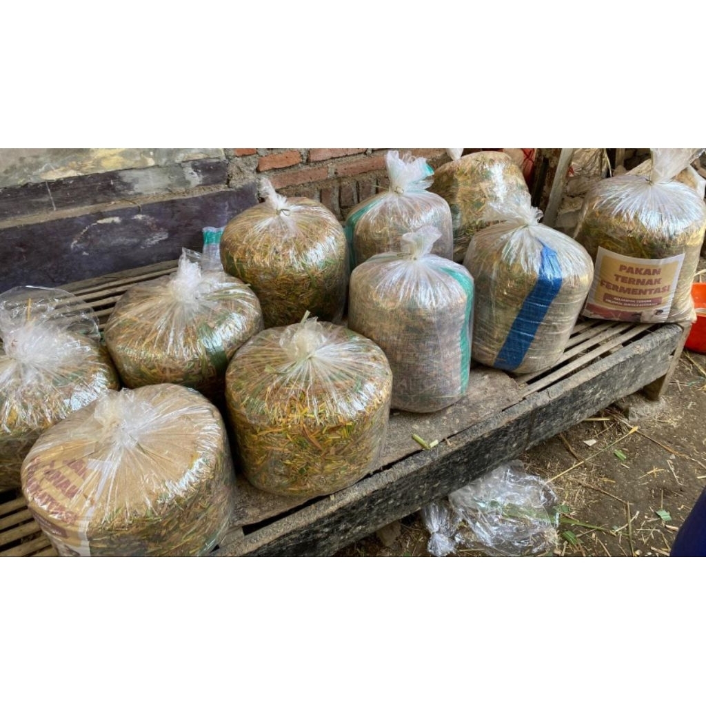 pakan ternak fermentasi
