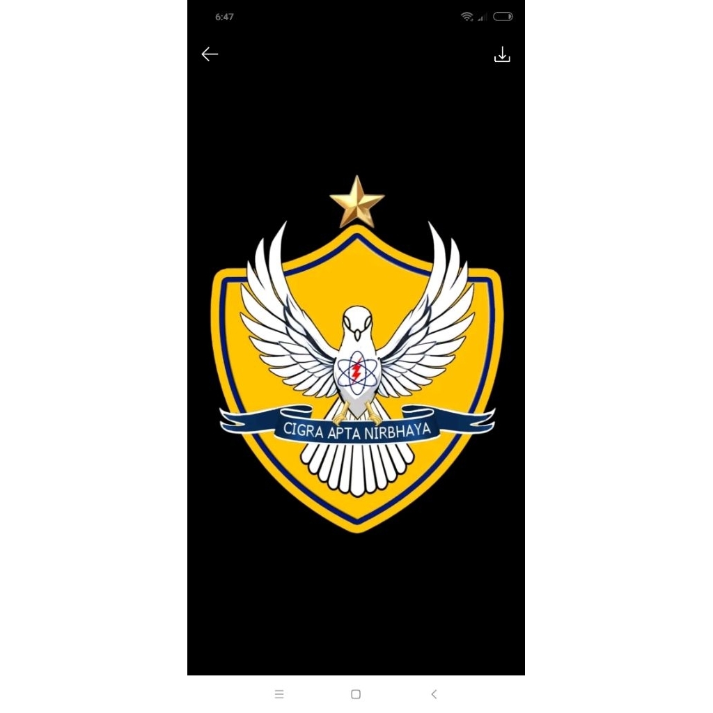 Mahar Pernikahan Logo Custom TNI