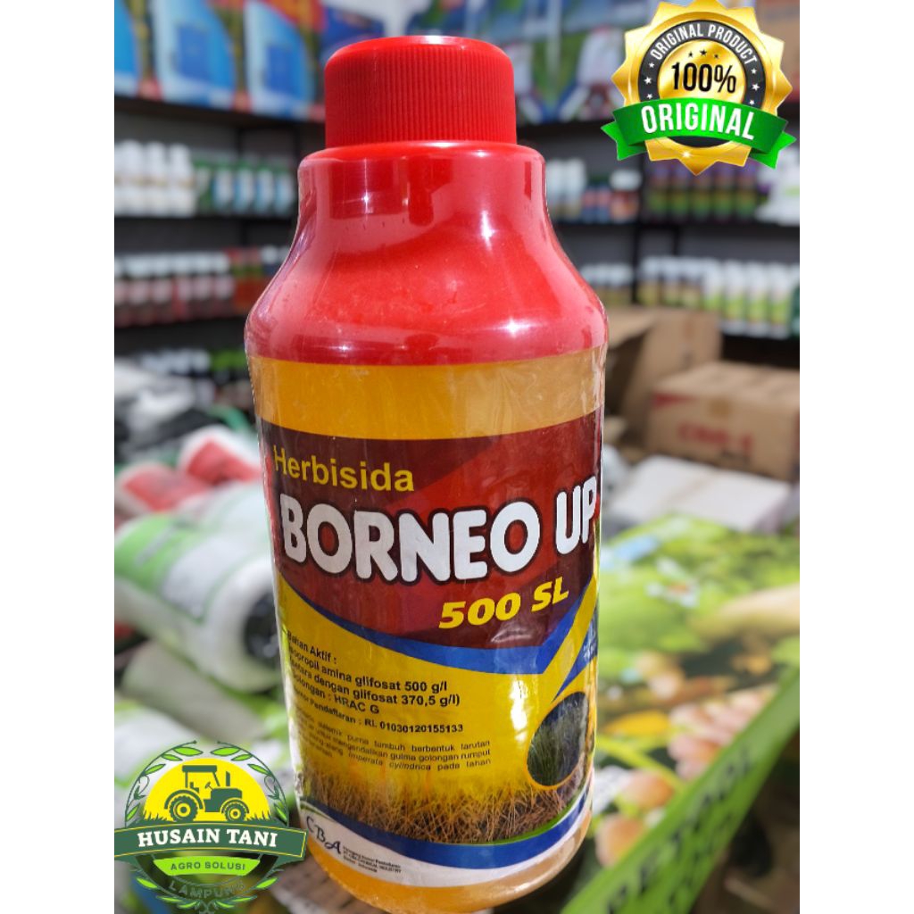 Herbisida Sistemik BORNEO UP 500 SL ~glifosat 500 SL Herbisida pembasmi segala jenis gulma