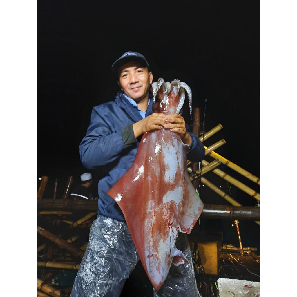 Kail Garong Cumi atau Sotong Stainless