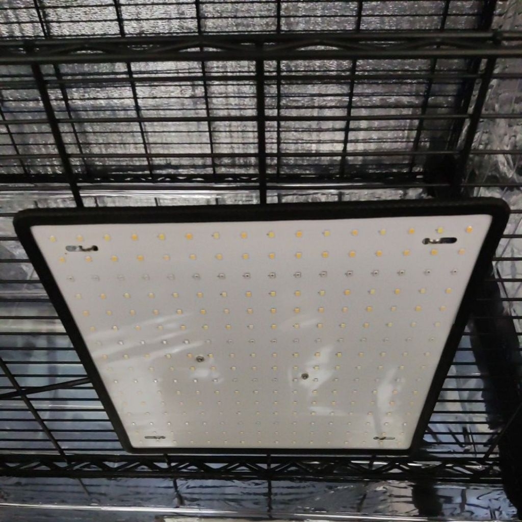 Lampu Tanaman LED Grow Light Full Spectrum Lamp