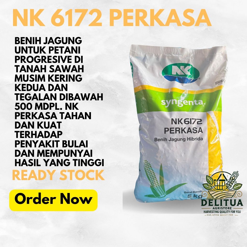 JAGUNG NK 6172 PERKASA 5 KG SYGENTA