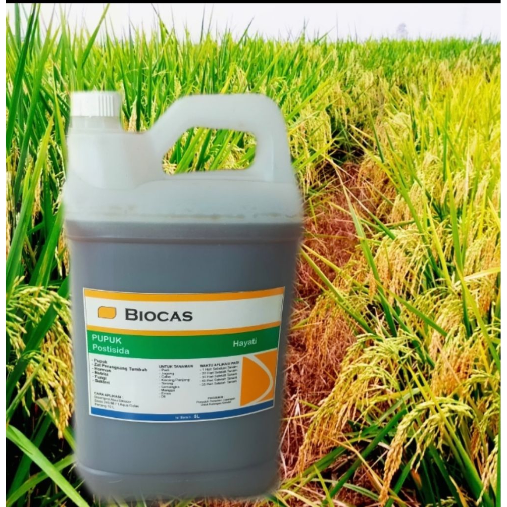 Biocas Pupuk Organik Cair 5 liter