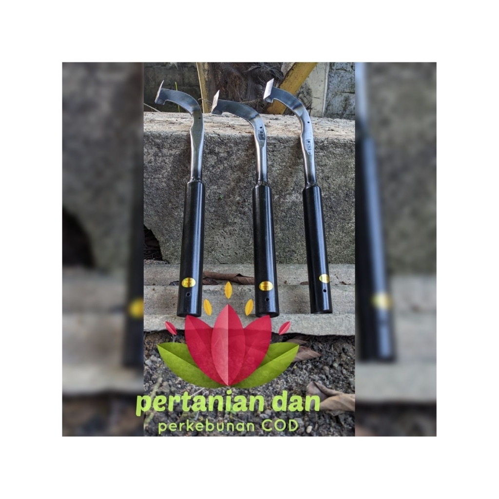 PISAU SADAP KARET THAILAND // ALAT SADAP KARET // PISAU SADAP // PISAU DERES KARET // PAHAT KARET