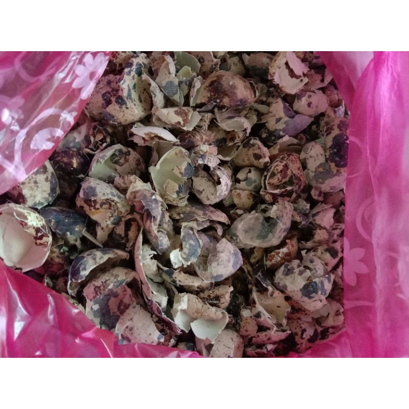 Cangkang telur puyuh 300gr