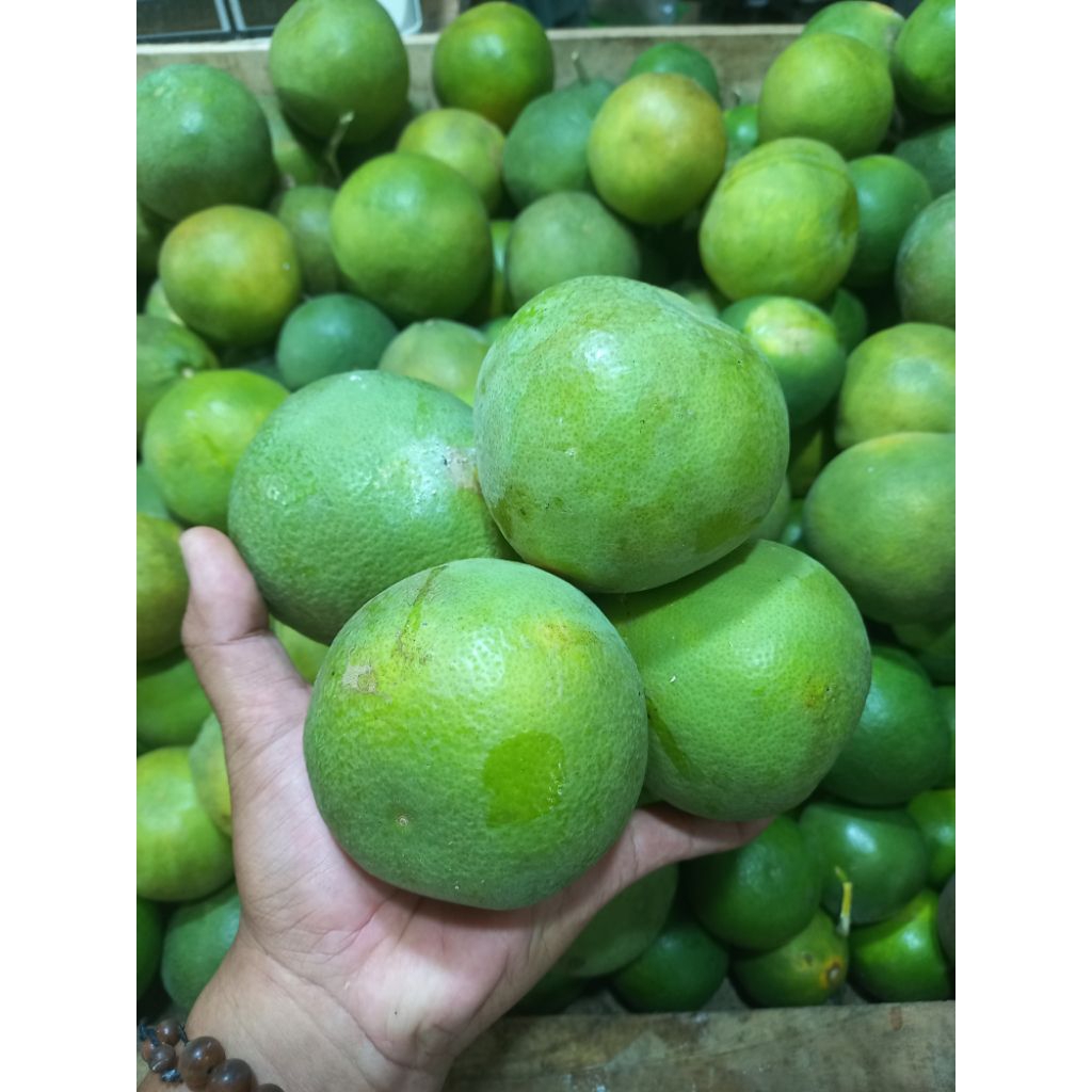 JERUK BABY JAWA SRAGEN, JERUK BABY LOKAL SRAGEN
