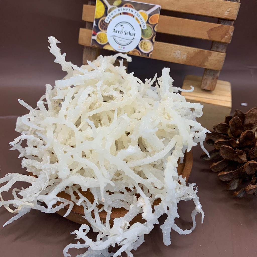 1Kg Rumput Laut Kering / Spinosum Putih